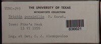 Image Associated With the Occurence